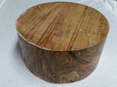 Spalted Ambrosia Maple 8" x 4"