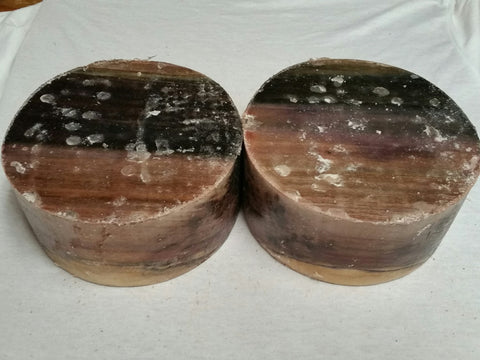 Rainbow Poplar 6" x 3"