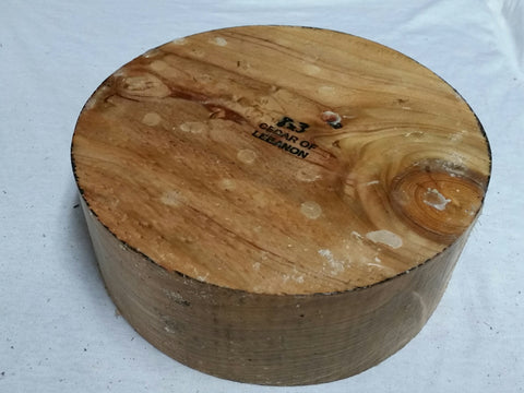 Cedar of Lebanon 8" x 3"