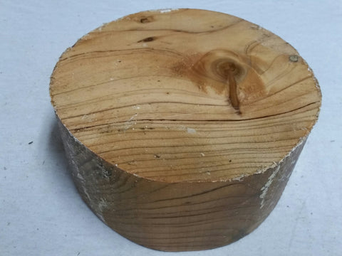 Cedar of Lebanon 6" x 3"